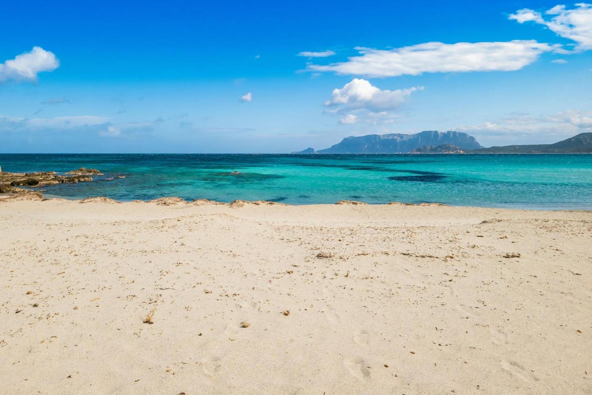 Dimora Di Rosy Pittulongu - Happy Rentals Olbia Eksteriør billede